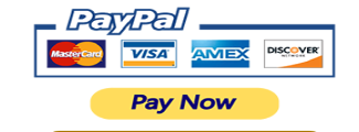 A paypal button with several different payment options.